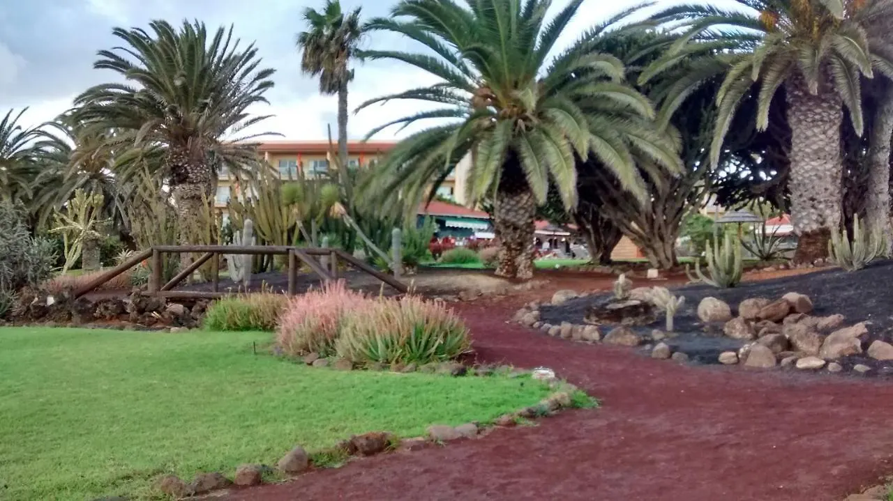 Le Poulpe Bleu Fuerteventura Chic And Relax Apartment Puerto del Rosario  Spain